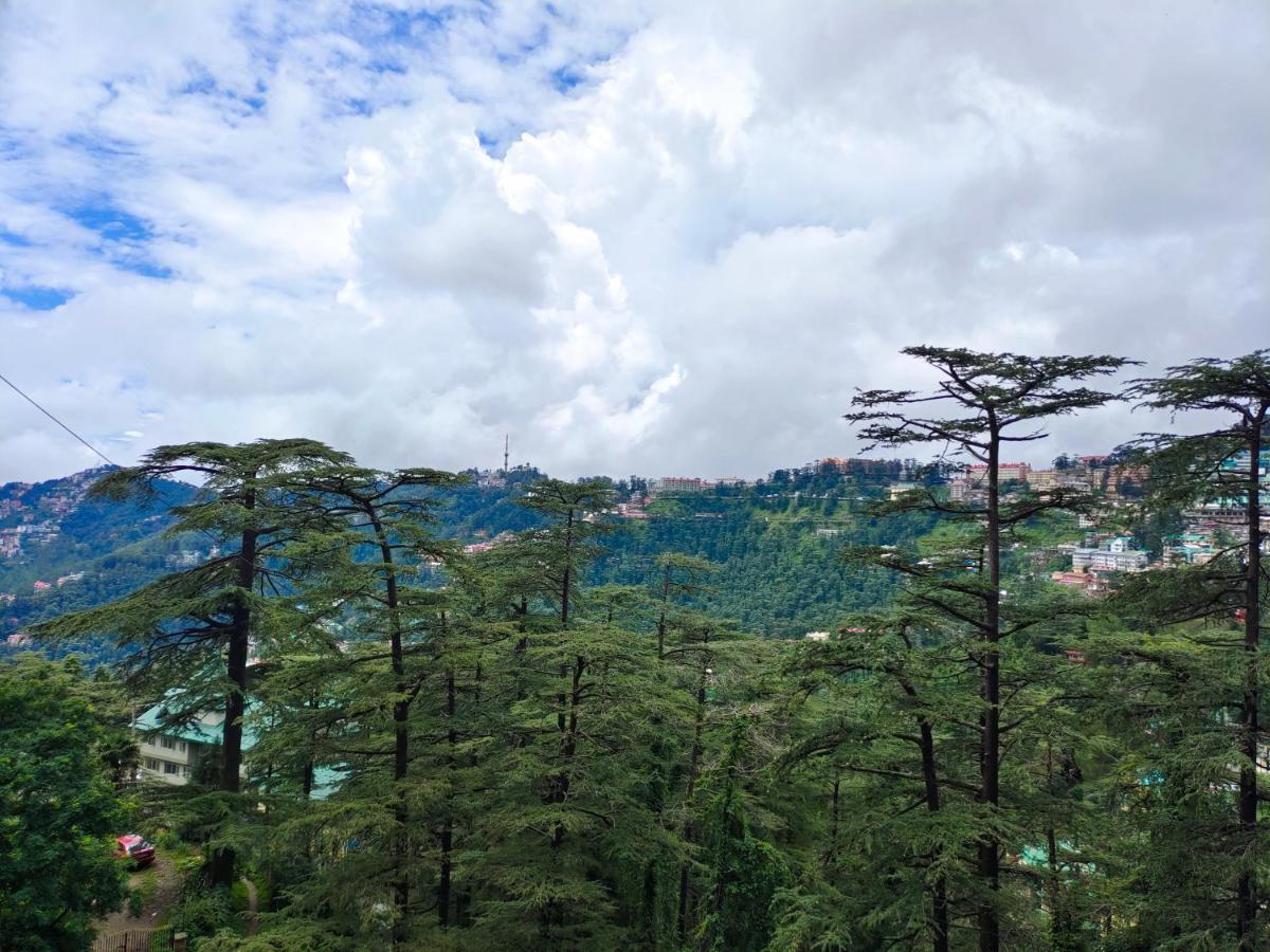 Mountain Zest-Simla Royale Near Mall Road-Free Pickup From Railway Station Simla Luaran gambar