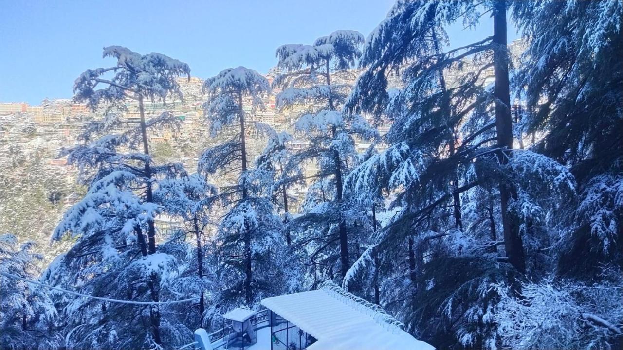 Mountain Zest-Simla Royale Near Mall Road-Free Pickup From Railway Station Simla Luaran gambar